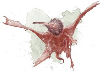 stirges dnd 5e|Stirge – 5th Edition SRD.